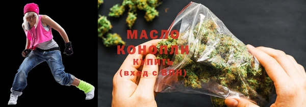 индика Каменка