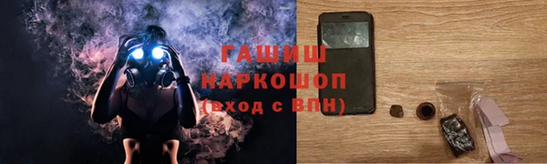 индика Каменка