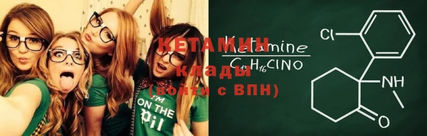 индика Каменка