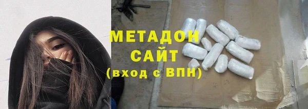 индика Каменка