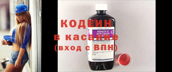 индика Каменка