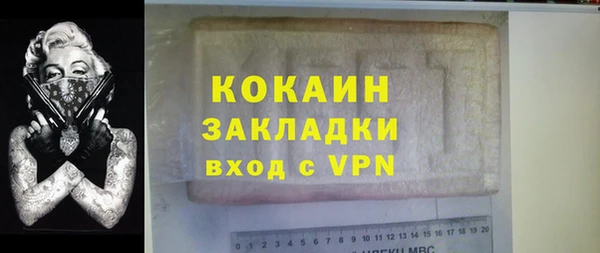 индика Каменка