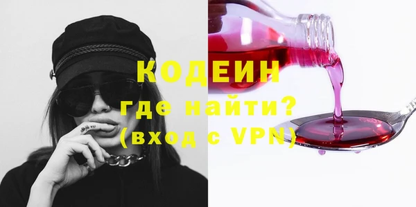 индика Каменка
