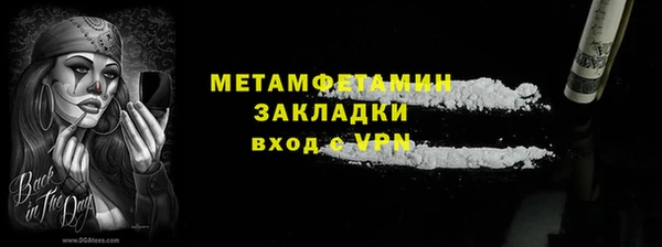 индика Каменка