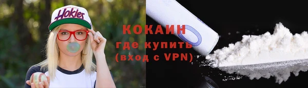 индика Каменка