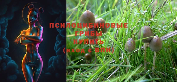mdma Каменск-Шахтинский