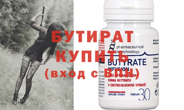индика Каменка