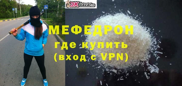индика Каменка