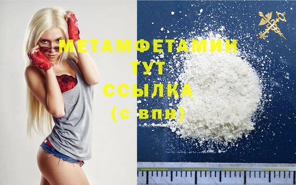 индика Каменка