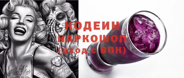 индика Каменка