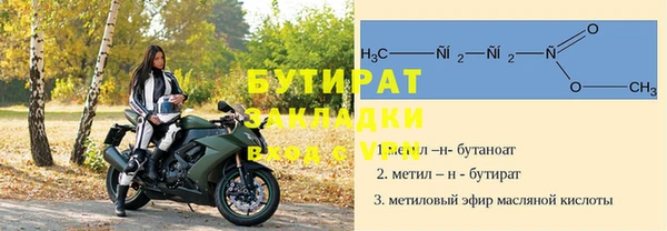 индика Каменка