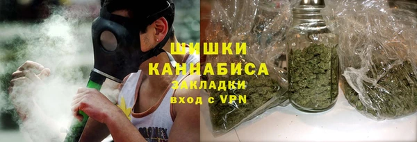 индика Каменка