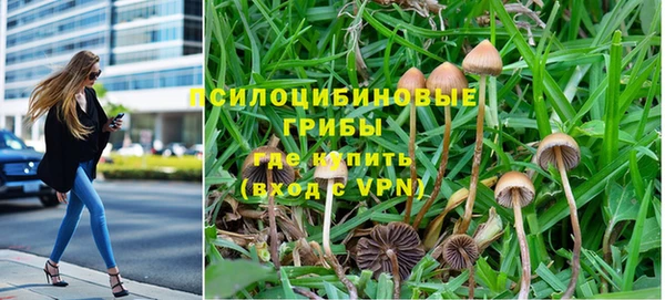 индика Каменка
