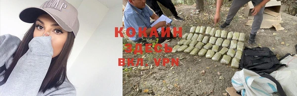 индика Каменка