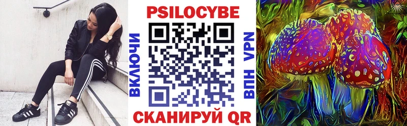 Псилоцибиновые грибы Psilocybe  Купить  Городовиковск 