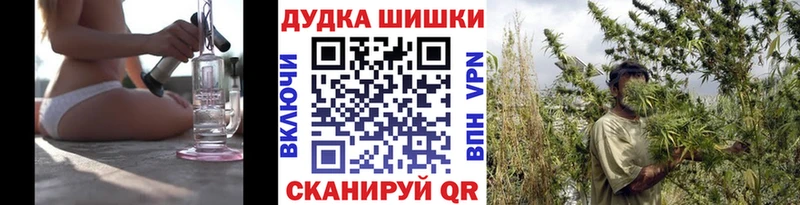 Шишки марихуана семена  Купить закладки  Городовиковск 